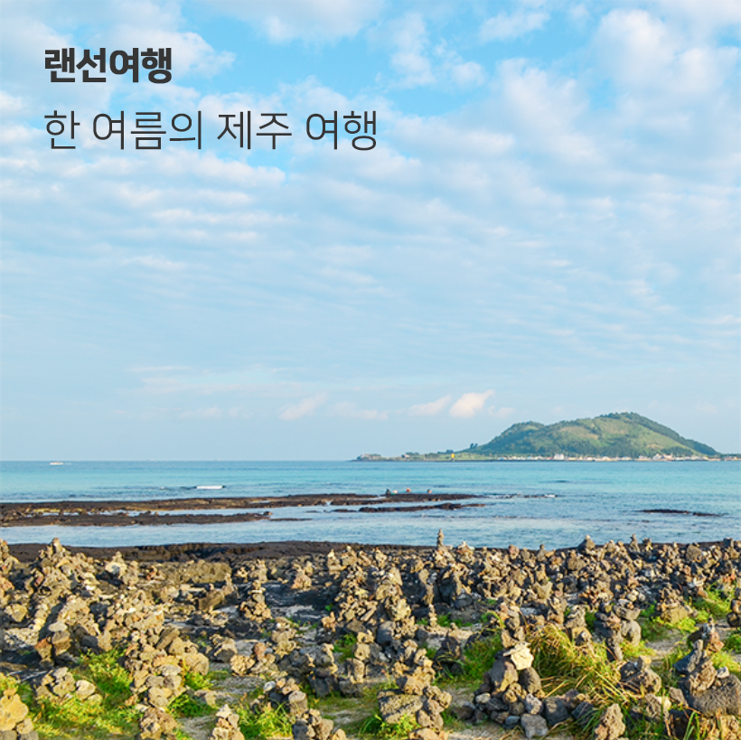 랜선여행